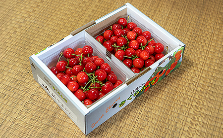 《先行予約》2026年 山形県産 さくらんぼ 佐藤錦 バラ詰（パック） 1kg 特秀 L サクランボ フルーツ F21A-328