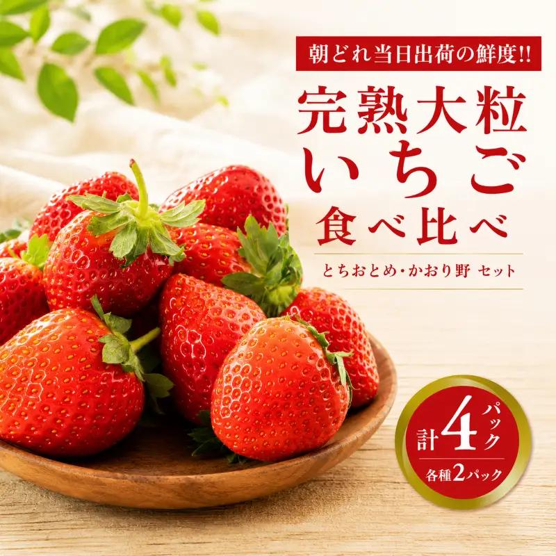 いちご 食べ比べ 4パック かおり野 ・ とちおとめ 