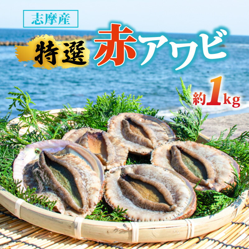 【ふるさと納税】 アワビ 1kg 天然 赤アワビ 志摩産 冷蔵 新鮮 鮑 伊勢 志摩市 海鮮 魚介 海産物 国産 旬 今が旬 貝 活 刺身 刺し身 お刺身 限定 バーベキュー BBQ 三重県 伊勢志摩 期間限定 夏季 夏 お中元 お取り寄せ グルメ