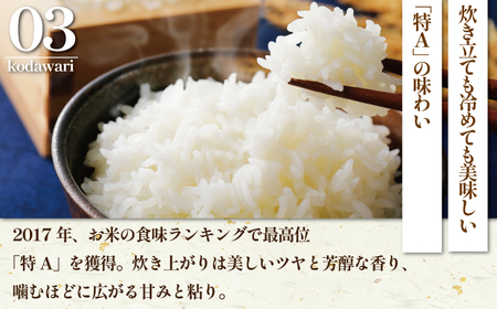米 特Aランク はるみ 令和7年産 ｜ はるみ 5kg 米