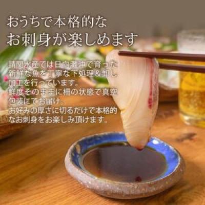 ふるさと納税 門川町 ぶりのお刺身(門川町) |  | 01