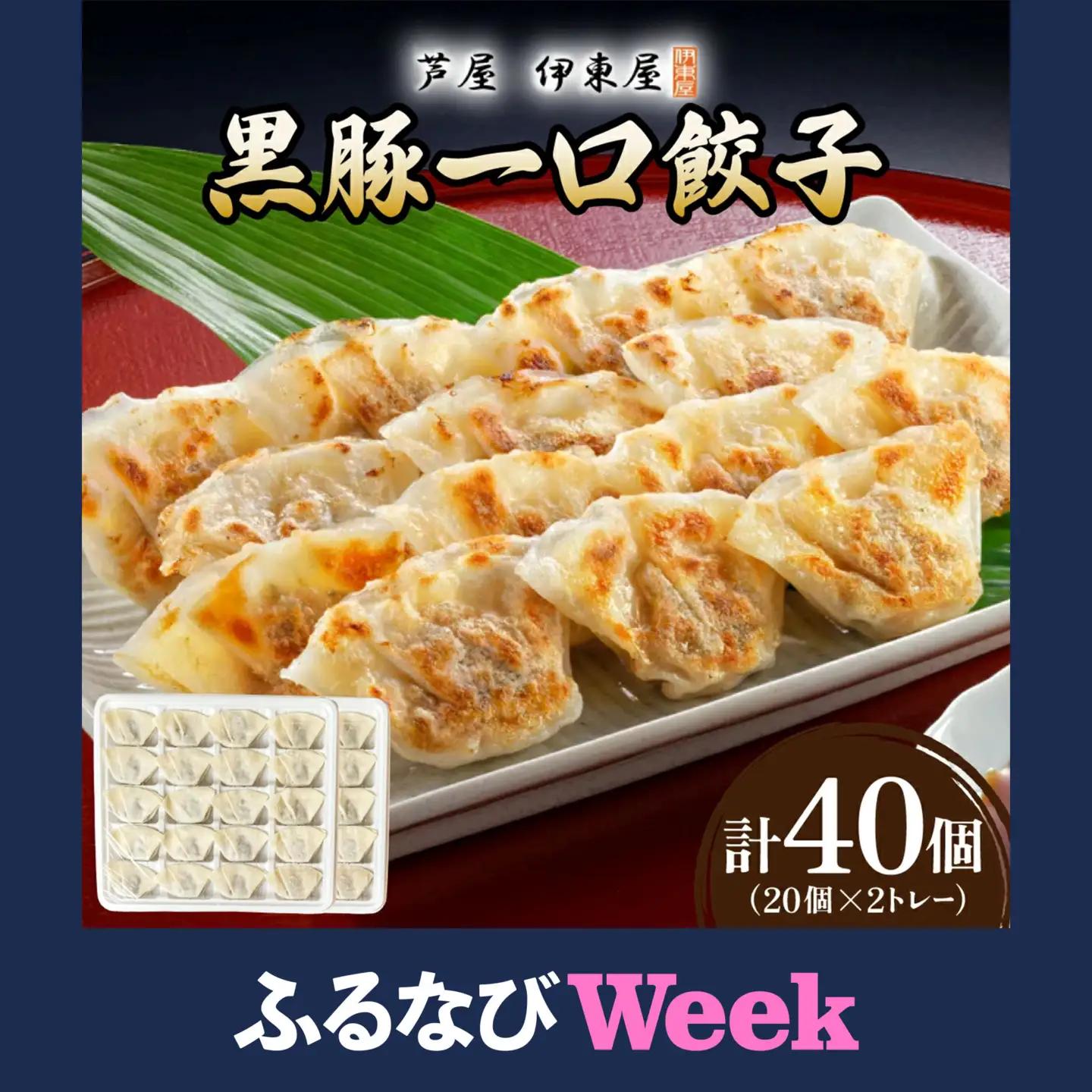【ふるなびWEEK対象】芦屋 伊東屋 謹製 黒豚 一口餃子 40個（醤油タレ 付き）
