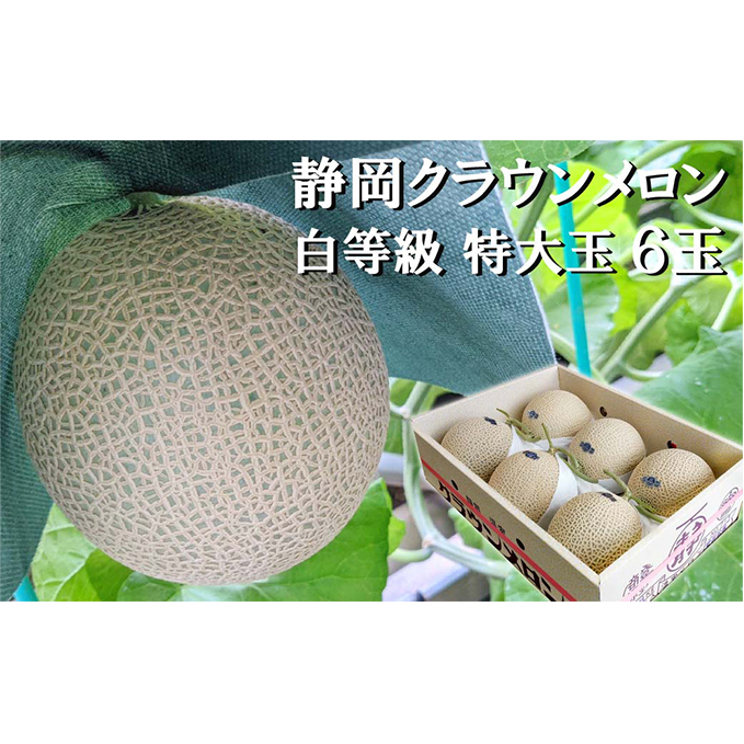クラウンメロン【並（白等級）】特大玉（1.5kg前後）6玉入り 人気 厳選 ギフト 贈り物 デザート グルメ 果物 袋井市 果物類 メロン青肉 フルーツ 