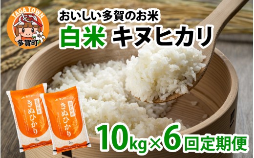【先行予約】【令和8年産新米早期予約　毎月定期配送・計6回】キヌヒカリ10㎏×6回　おいしい多賀のお米 [J-00401]
