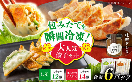 【お中元対象】【計6パック】餃子屋ヒロの大人気餃子セット＋特製味噌ダレ付【餃子屋ヒロ】開成町 餃子 点心 惣菜 冷凍[BDAS009-3]