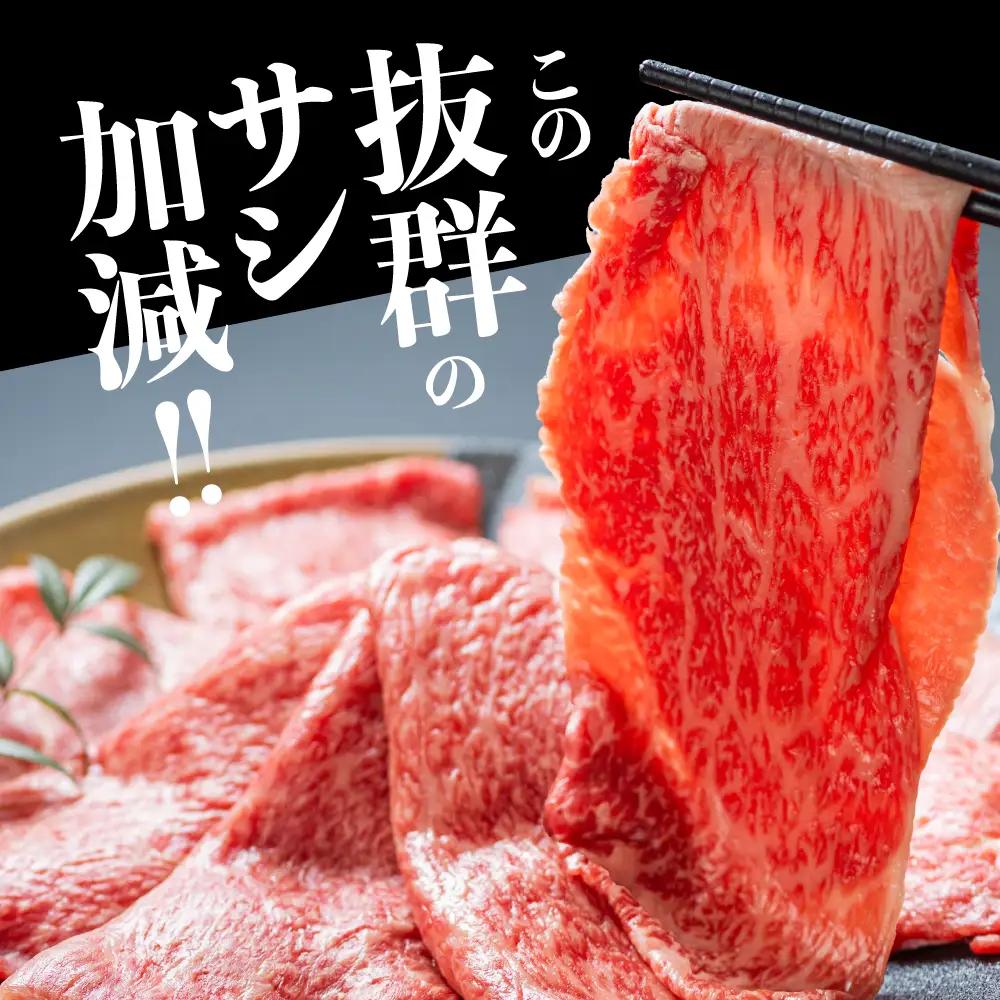 【年末お届け】飛騨牛 A5等級 ロース 500g すき焼き ｜年末お届け すき焼き 年末お届け  JQ018VC12