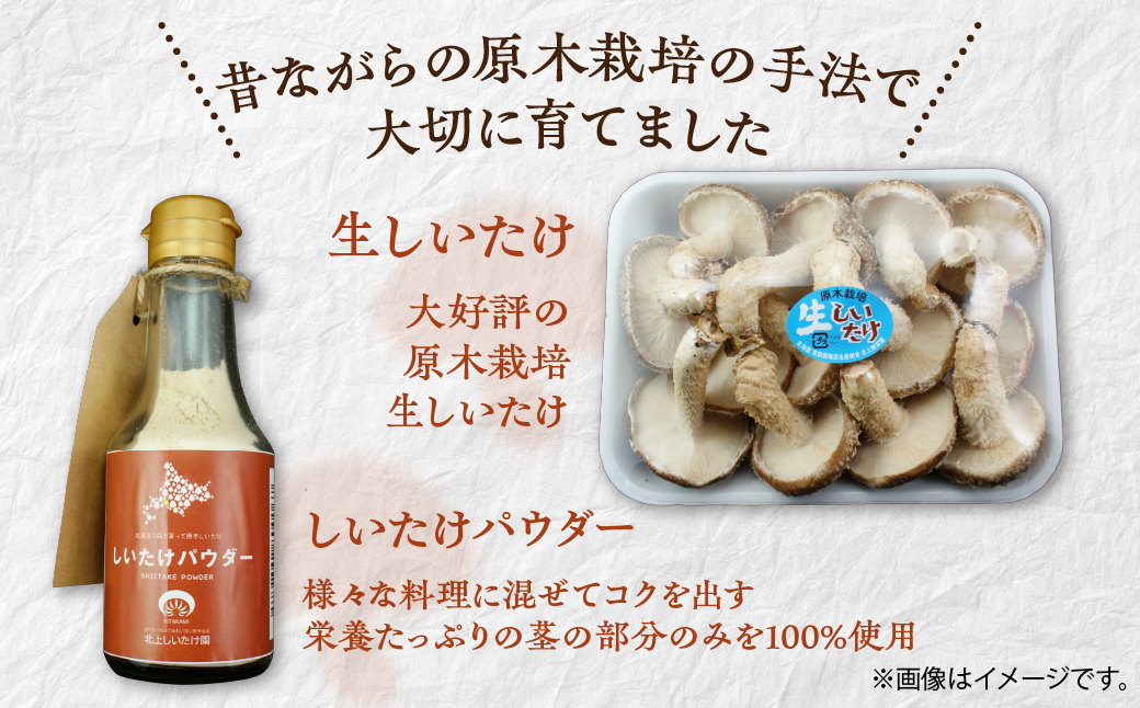 美味しさ詰まった貴重な原木しいたけ詰め合わせ　Bセット MKWN002