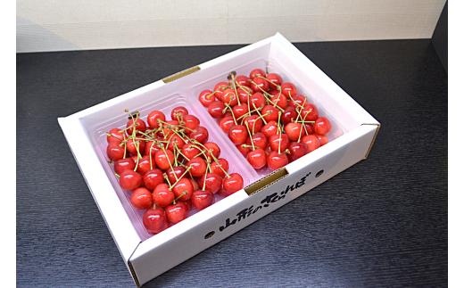 08-10-028　さくらんぼ(紅秀峰)700g