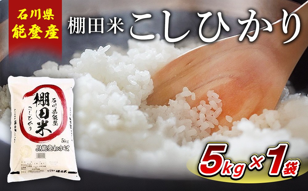 
                  【令和7年産】棚田米コシヒカリ 5kg×1袋 ｜ 世界農業遺産に認定された『能登の里山里海』で育まれたお米 石川県 七尾市 能登 ※2026年6月～発送
                