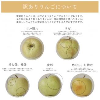 【家庭用】藤崎町産りんご　王林約10kg(24～40個)【配送不可地域：離島・沖縄県】