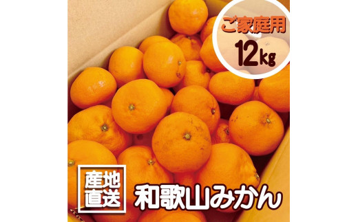 
                  【訳あり】和歌山みかん約11kg+補償分約1kg サイズ混合 11月より順次発送 訳ありみかん 【red2】
                