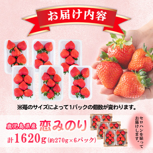 【数量限定】鹿児島県産朝採れイチゴ「恋みのり」約1620g(約270g×6パック) a3-241