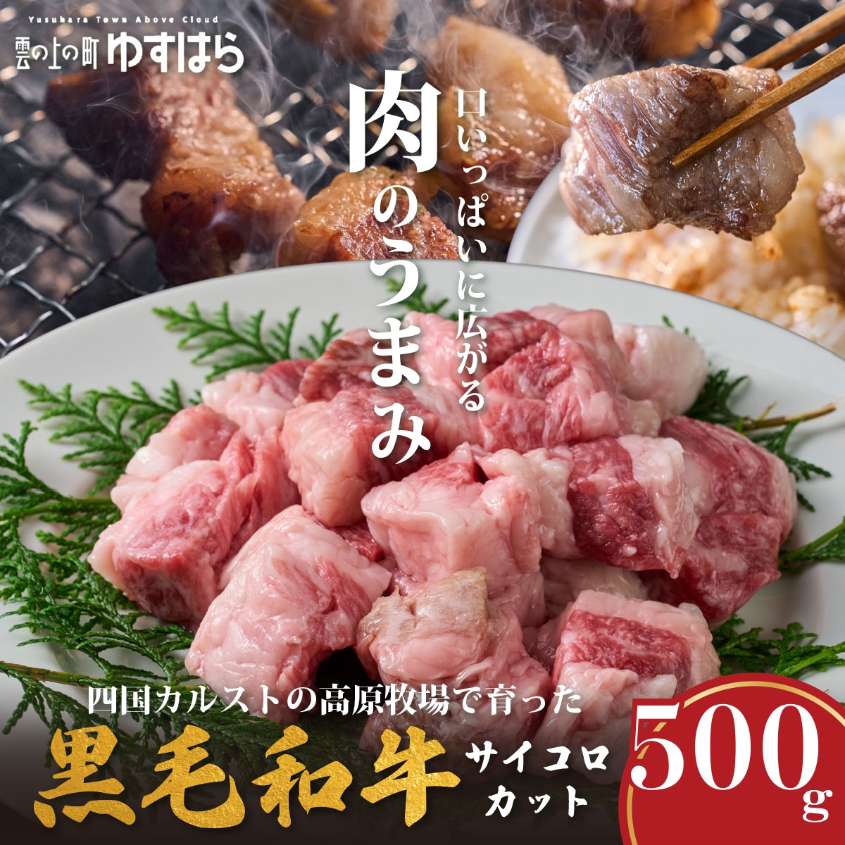 
                  低温でも脂身がとろけるゆすはら牛サイコロカット 500g　牛肉 和牛 黒牛 BBQ オレイン酸 高知県産
                