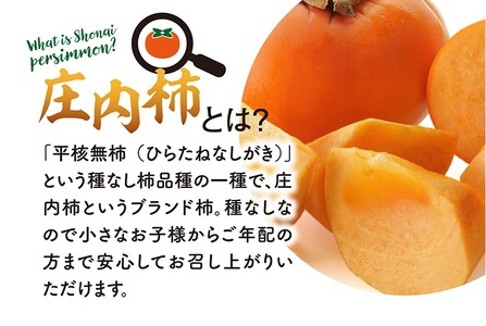 SA2739　庄内柿　約7.5kg(40玉入)　Mサイズ