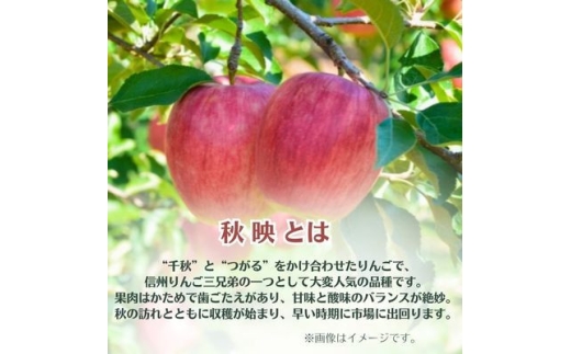 りんご 秋映 約5kg 家庭用【1738020】