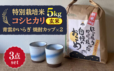 先行予約 【令和6年産新米】 玄米 コシヒカリ 特別栽培米 （5kg）+ 【美濃焼】 青雲かいらぎ　焼酎カップ （2個） 【山松加藤松治郎商店】[TEU056]