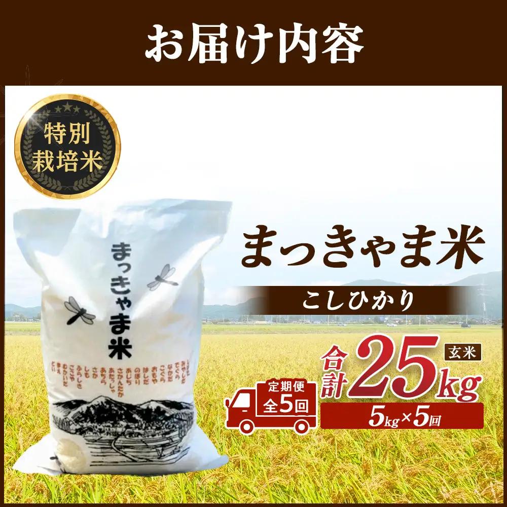（毎月／全5回）【玄米】定期便　特別栽培米 石川県産こしひかり棚田米”まっきゃま米”