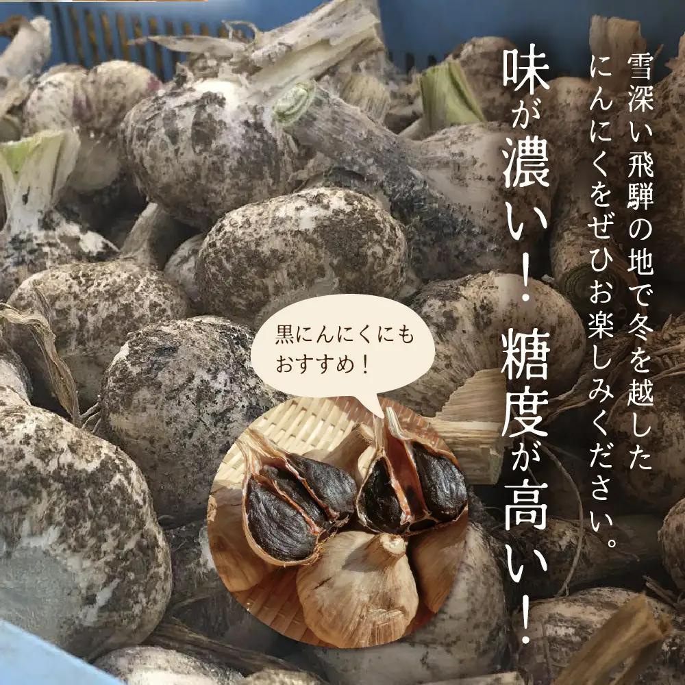 飛騨産 にんにく 500g ニンニク【7月中旬から12月発送】水村農園
