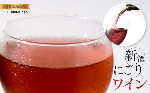 2025年収穫　新酒ワイン　ロゼワイン　720ml×2本セット[5839-1461]