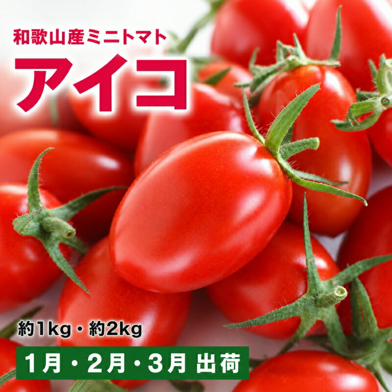 【ふるさと納税】和歌山産　ミニトマト「アイコトマト」約1kg 約2kg（M・Lサイズおまかせ） ※北海道、沖縄、離島には配送不可 ※1月〜3月に順次発送予定 / トマト 野菜 サラダ ベジタブル //vegi