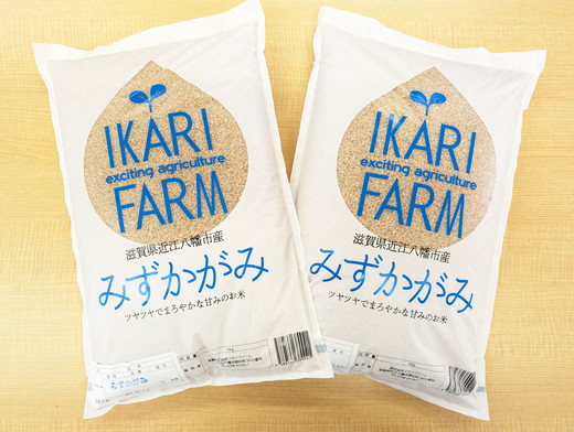 【新米】【7年産】冷めても美味しいあっさりとした味わい「みずかがみ」玄米【10kg（5kg×2袋）】【C018U1】