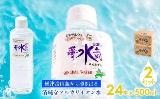 ミネラルウォーター夢水氣（500ml×24本）2セット 天然アルカリイオン水 軟水 【ふるさと納税 人気 おすすめ ランキング 天然アルカリイオン水 天然水 ミネラルウォーター 横津岳山麓 北海道 七飯町 送料無料】 NAL008