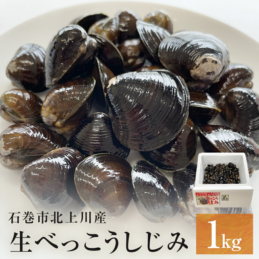 【ふるさと納税】生べっこうしじみ