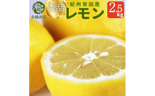 
秀品 紀州有田産レモン 2.5kg【2024年3月上旬以降発送】
