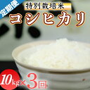 【ふるさと納税】令和6年産 (精白米)　特別栽培米　こしひかり10kg ×3回配送　(1回/月）