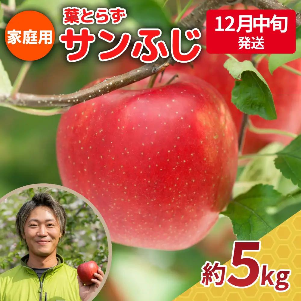 【2026年12月中旬発送】【家庭用】 りんご 約5kg サンふじ 青森県産 葉とらずりんご