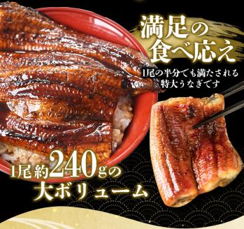 うなぎ蒲焼 4尾 計約960g （タレ・山椒付き） 1尾で約240gのビッグサイズ 鰻 うなぎ うなぎの蒲焼 炭火焼き 炭火 中国産【nks702B】