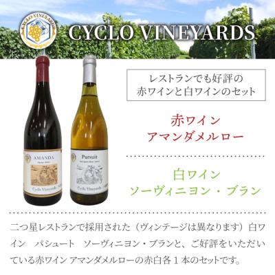 ふるさと納税 東御市 496ヴィンヤード プレミアム赤白ワインセット (赤・白 各1本) |  | 01