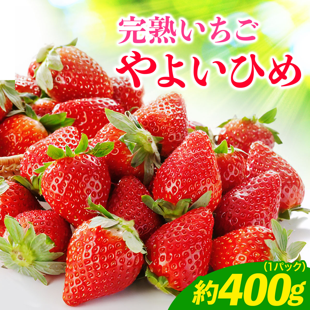 《2027年1月中旬より順次発送》完熟いちご やよいひめ 約400g (12粒から15粒) 1パック 栗丸農園直送｜先行予約 数量限定 苺 イチゴ 大粒 特大 フルーツ 果物 デザート 新鮮 朝採れ サイズ 大きい 高級 贈答 贈り物 ギフトプレゼント 果肉 甘味 酸味 品質 お取り寄せ 神奈川県 伊勢原 [1067]