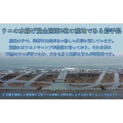 ふるさと納税 洋野町 【令和8年発送】先行予約【水揚げしたその日に出荷】生うに 牛乳瓶入り 130g×3本 |  | 01