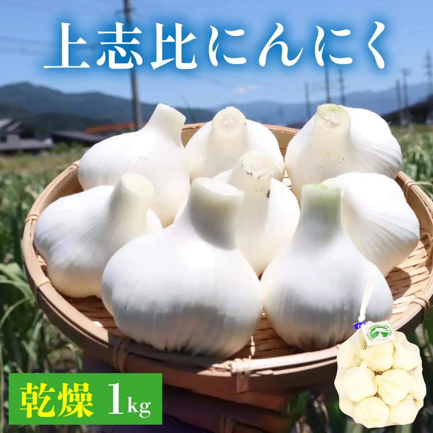永平寺町産 乾燥 上志比にんにく 1kg ニンニク ホワイト 国産