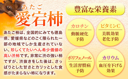 丸ごと柿酢 2本セット（化粧箱入り） 