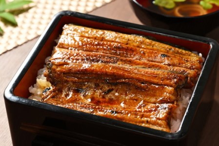 うなぎ 炭火 かば焼き 特上 2人前 備長木炭使用 老舗増田家 _ED06