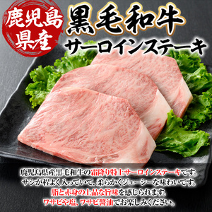 鹿児島県産 A5等級以上 黒毛和牛 霜降り サーロイン ステーキ 計600g(200g×3枚)  牛肉 【ビーフ倉薗】C42