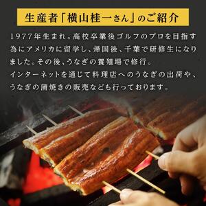 【影響が大きい事業者支援】横山桂一さんのS級鰻　大15尾（2.25kg）