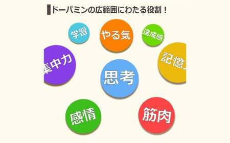 ムクナ豆 焙煎茶 60g×4パック 合計80包 ムクナ豆茶 ムクナ豆 お茶 茶 ティーパック