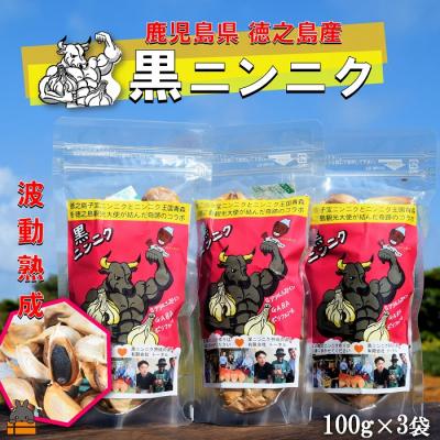 ふるさと納税 徳之島町 こだわりの波動熟成! 鹿児島県徳之島産黒ニンニク(100g×3袋)
