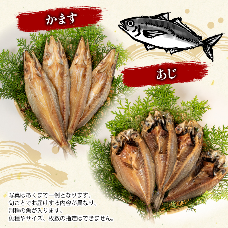 【010-105】大王崎・天日干し干物セット*