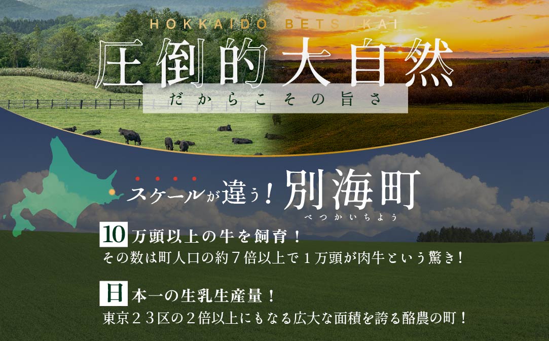 別海牛 使用 ファーストクラス ハンバーグ 140g×12個【NS0000019】(北海道 別海町 肉 ハンバーグ はんばーぐ ふるさと納税)