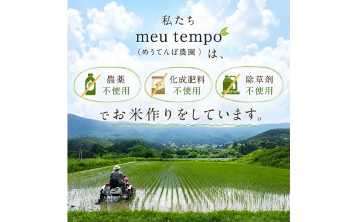 ＜白米＞コシヒカリ10kg（5kg×2）｜米 コシヒカリ こしひかり 白米 ご飯 お米 農薬不使用 化成肥料不使用 除草剤不使用 伊那 伊那産 長野県 【039-06】