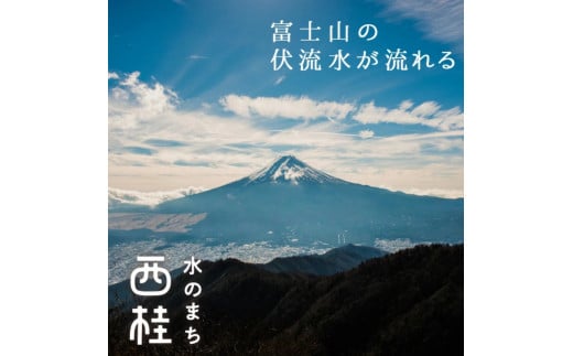 非常用飲料水 富士山麓の保存水1.5L 8本入 総量12L／ミネラルウォーター お水 軟水 飲料 飲料水 ペットボトル 生活必需品 消耗品 備蓄 備蓄水 防災用品 防災 災害対策 5年 長期保存 人気