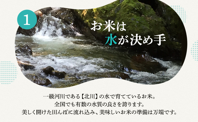【祝北陸新幹線延伸】【先行予約】米 令和6年　コシヒカリ 10kg 一等米 お米 おこめ こめ コメ 白米 精米 新米 ご飯 ごはん 山心ファーム 福井県 福井