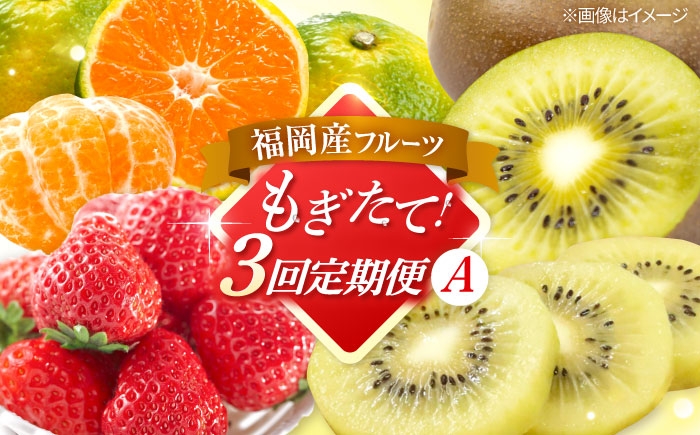 
                  【全3回定期便】九州・福岡もぎたて フルーツ定期便 A　桂川町/一般社団法人地域商社ふるさぽ [ADCF017]
                
