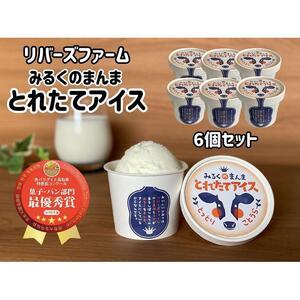 【2026年1月中旬以降発送】アイス 6個セット（90ml×6個）「みるくのまんま　とれたてアイス」《「食パラダイス鳥取県」最優秀賞受賞》