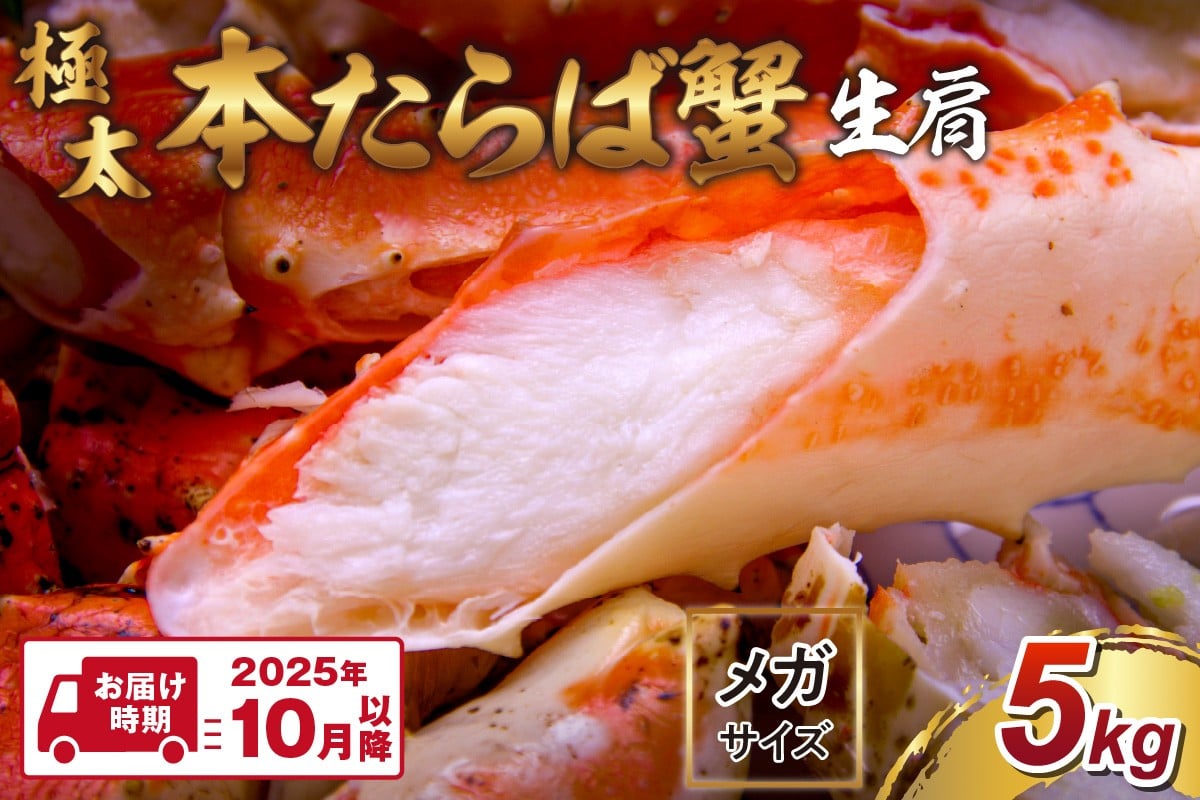 
            【2肩5kgの超極太10L以上メガサイズ】本たらば蟹 生肩 5kg【2025年10月以降の発送】【087A-003】
          