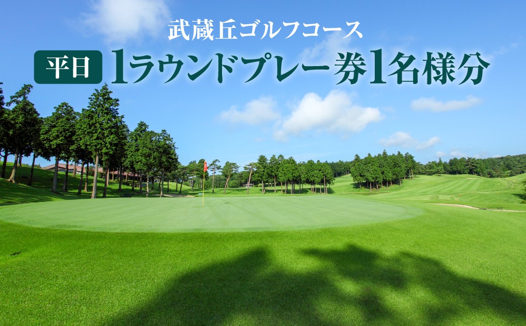 
                  武蔵丘ゴルフコース 平日1ラウンドプレー券1名様分【 ふるさと納税 埼玉県 飯能市 送料無料 サービス券 利用券 プレー券 スポーツ 球技 レジャー ゴルフ場 平日限定 ギフト 贈り物 プレゼント 】 HNNAVA001
                